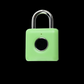 Fingerprint Lock