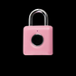 Fingerprint Lock
